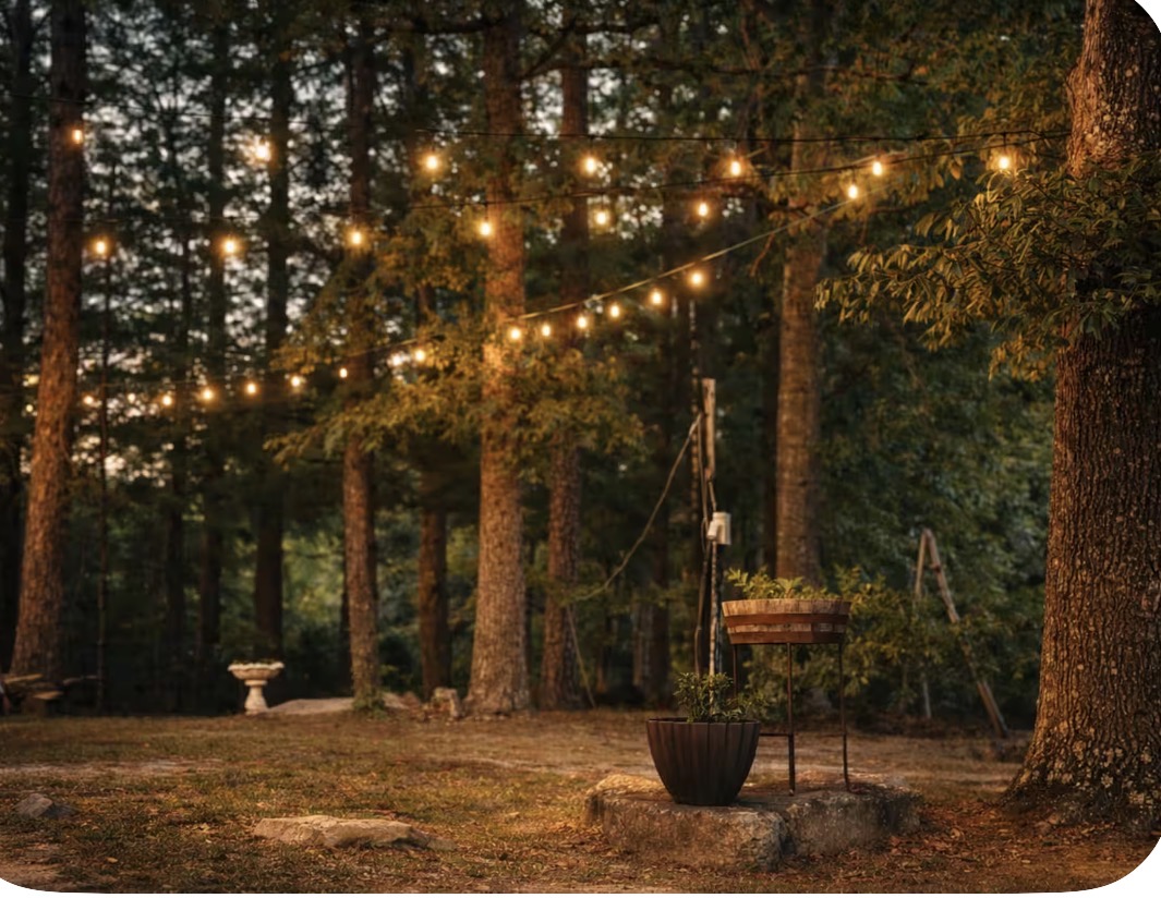 Warm string lights glowing among trees above the Rockhill courtyard
